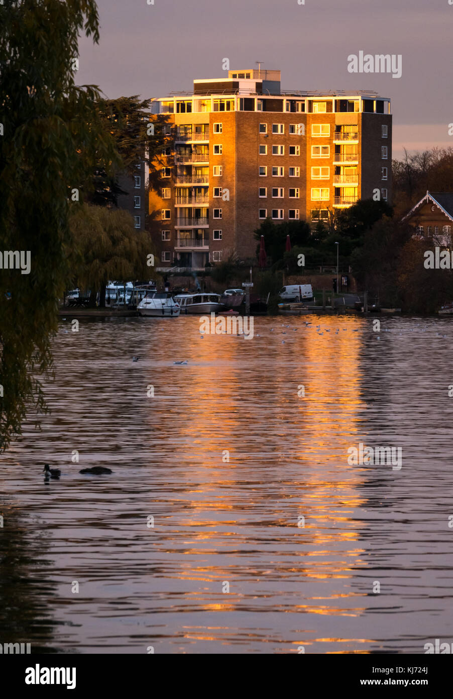 Autumn sunset colours on Thames River, Hampton Wick looking East down river to a high modern apartment block reflected in the water, London, UK Stock Photo