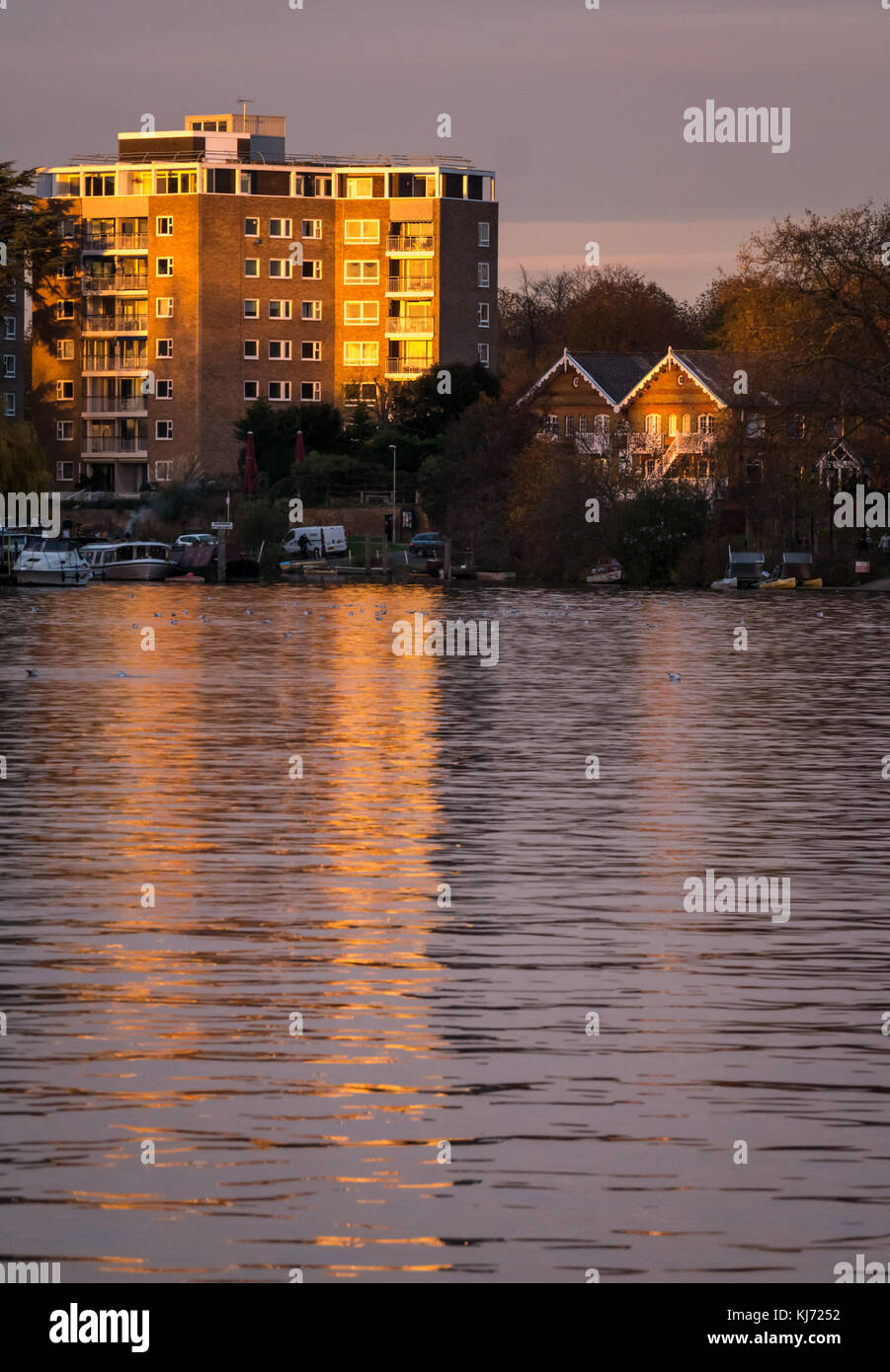Autumn sunset colours on Thames River, Hampton Wick looking East down river to a high modern apartment block reflected in the water, London, UK Stock Photo