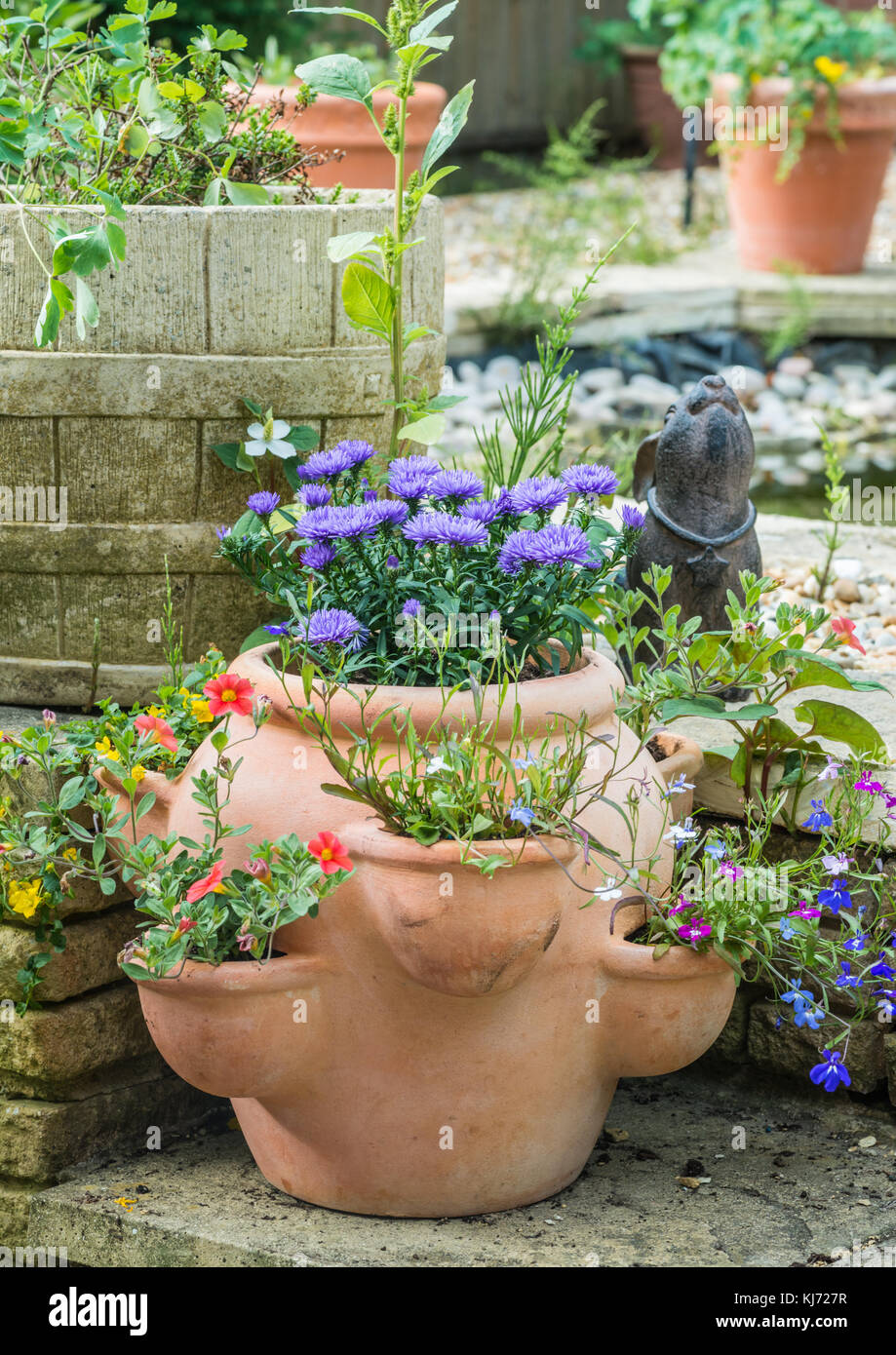 A shot of a terracotta pot planted with summer blooms. Stock Photo