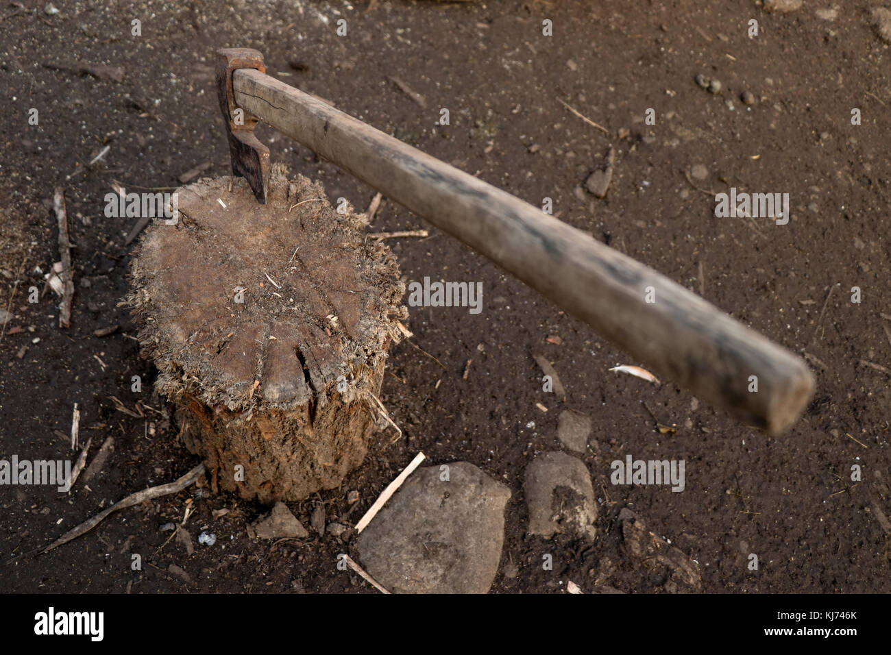 An axe stuck in a trunk perspective Stock Photo