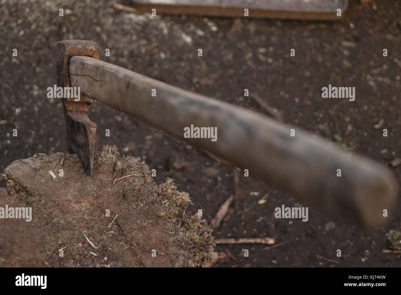 Axe stuck in a log rural Stock Photo