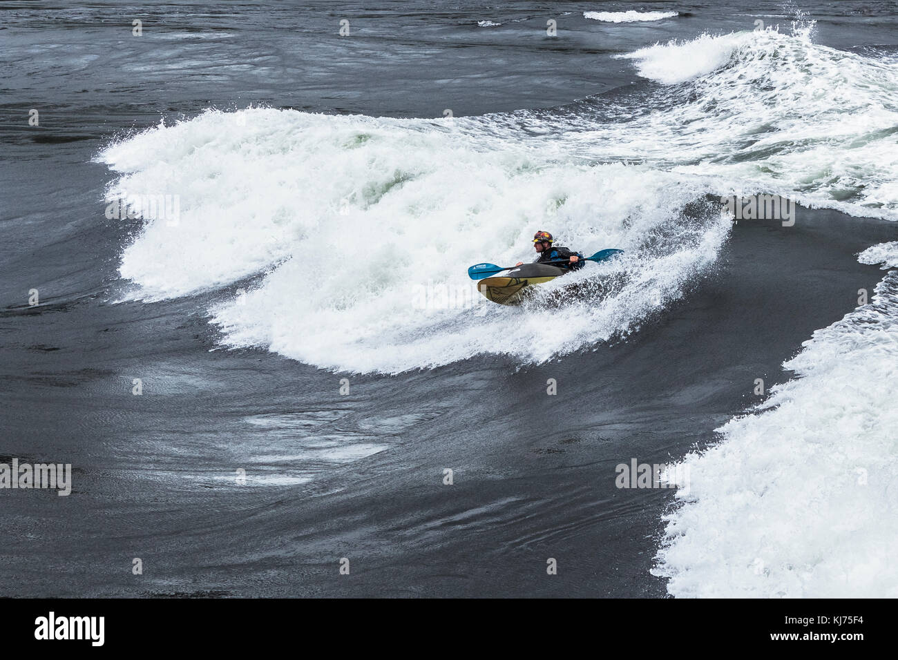 A helmeted man kayaks the face of a huge wave at Sechelt Rapids, one of the world's fastest tidal passes (Skookumchuck Narrows, British Columbia). Stock Photo