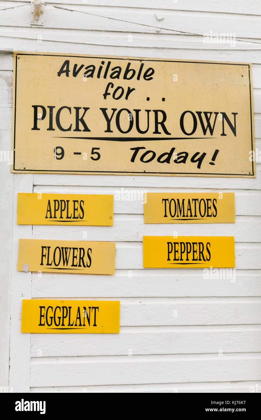 'Pick your own'  sign at a farm Stock Photo