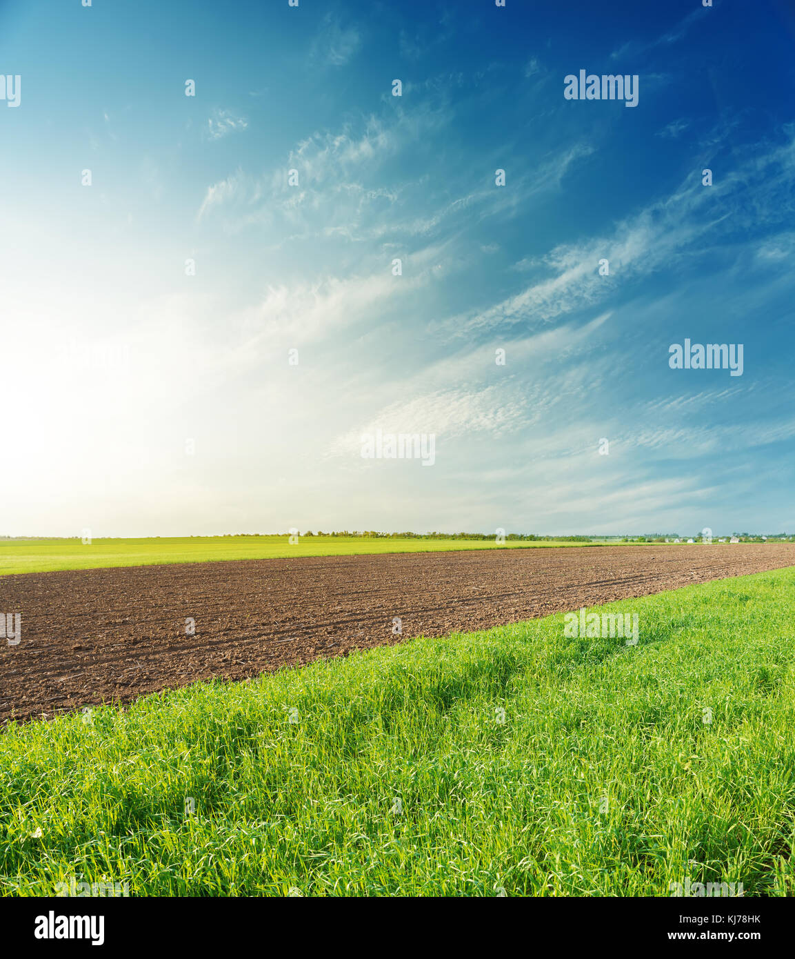 sunset over agricultural spring fields in blue sky Stock Photo - Alamy