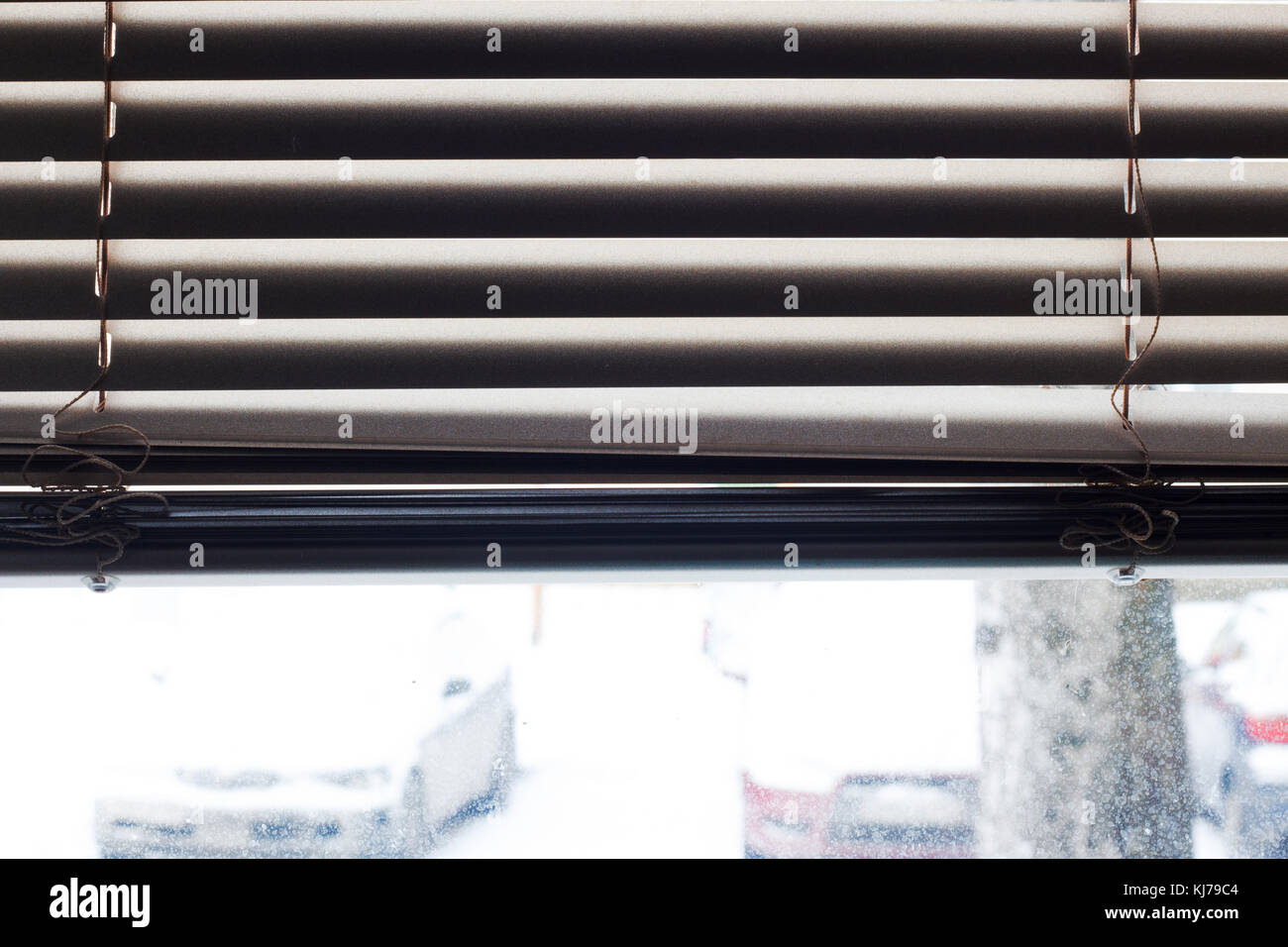 Fragment of the white blinds with lift cord and turning rod of