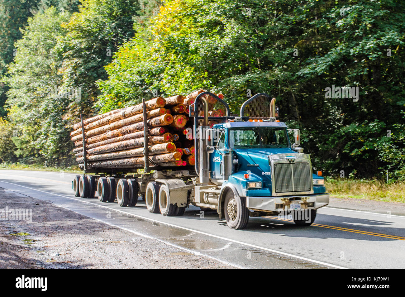 Logging Truck. Canadian Highway 4, Alberni Highway, near Port Alberni. Stock Photo