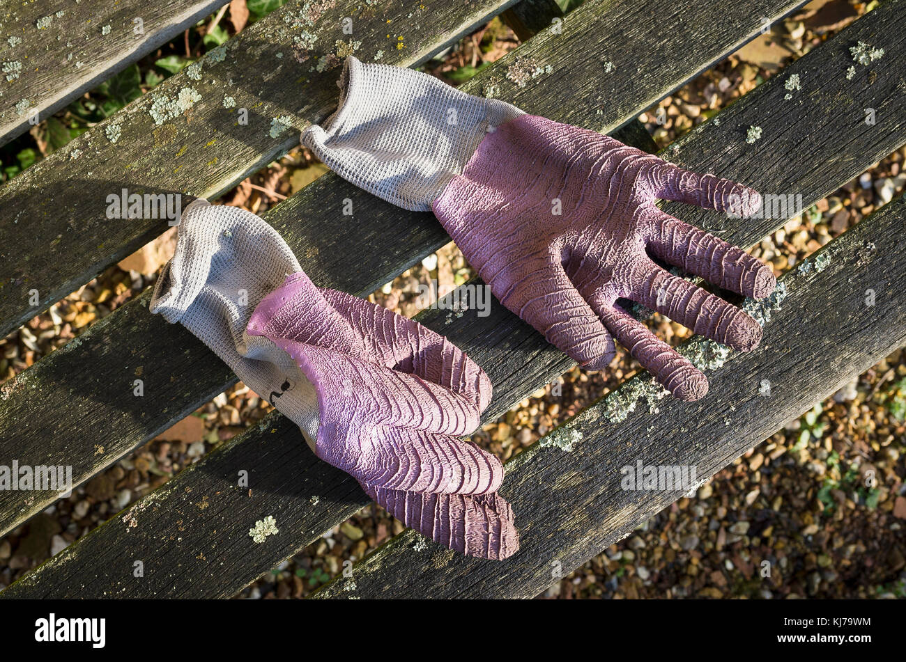 The gardener has forgotten her gloves which lie on a wooden seat in the garden Stock Photo