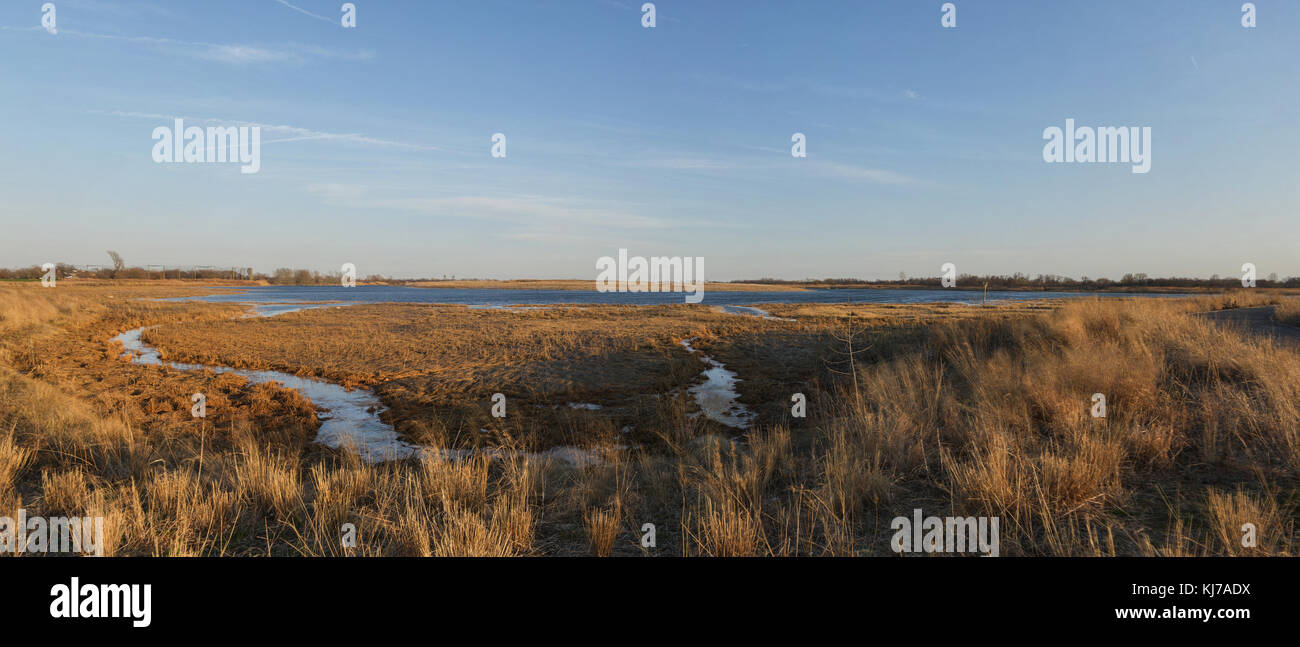 Marine Park Salt March. Panorama of Brooklyn's largest park consisting of 530 acres of grassland and precious salt marsh in the spring. Stock Photo