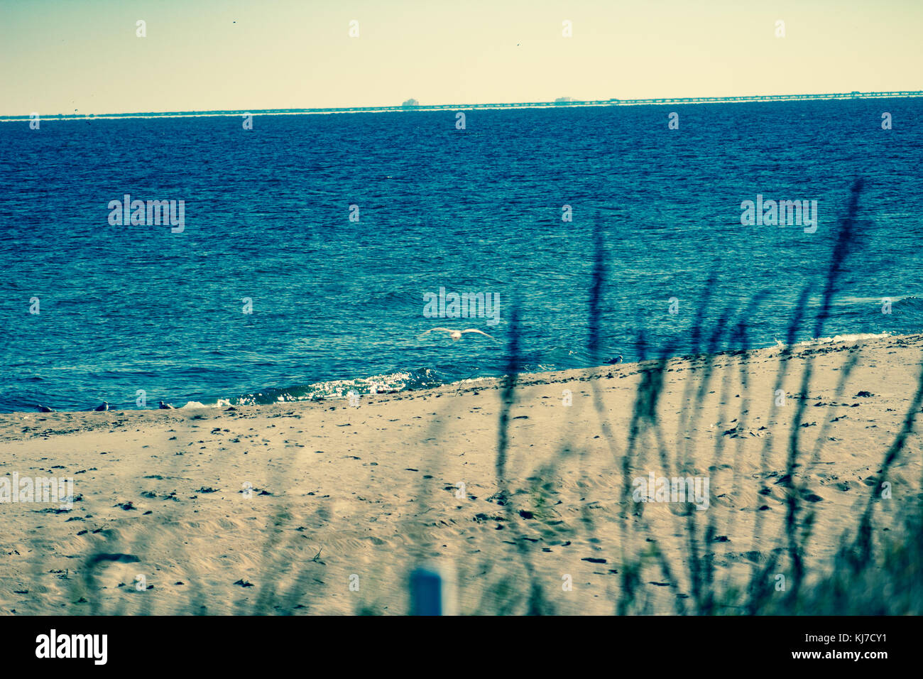 Sandy Beaches Stock Photo