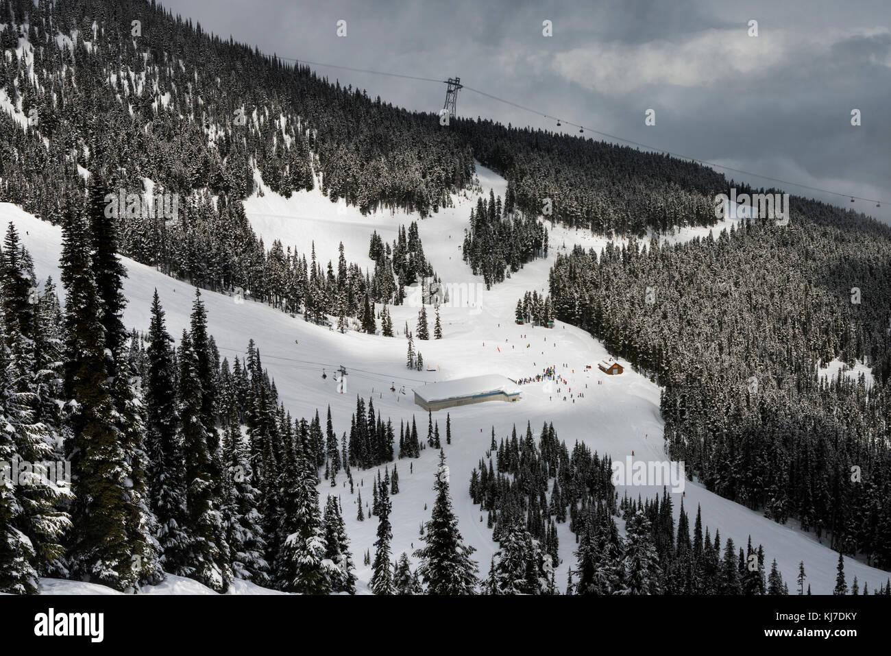 Scenic view of ski resort and trees on mountain,Whistler,British