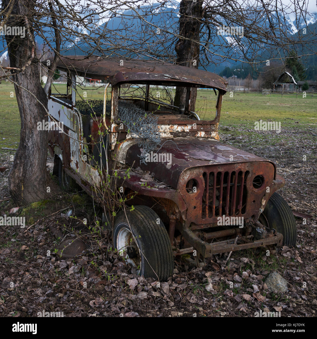 Abandoned rusty jeep in field,Pemberton,Whistler,British Columbia