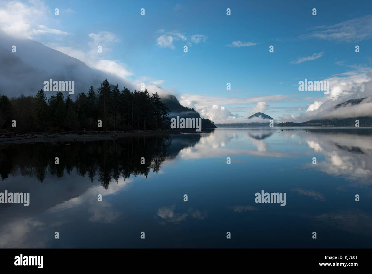 Reflection of trees in water,Furry Creek,British Columbia,Canada Stock ...