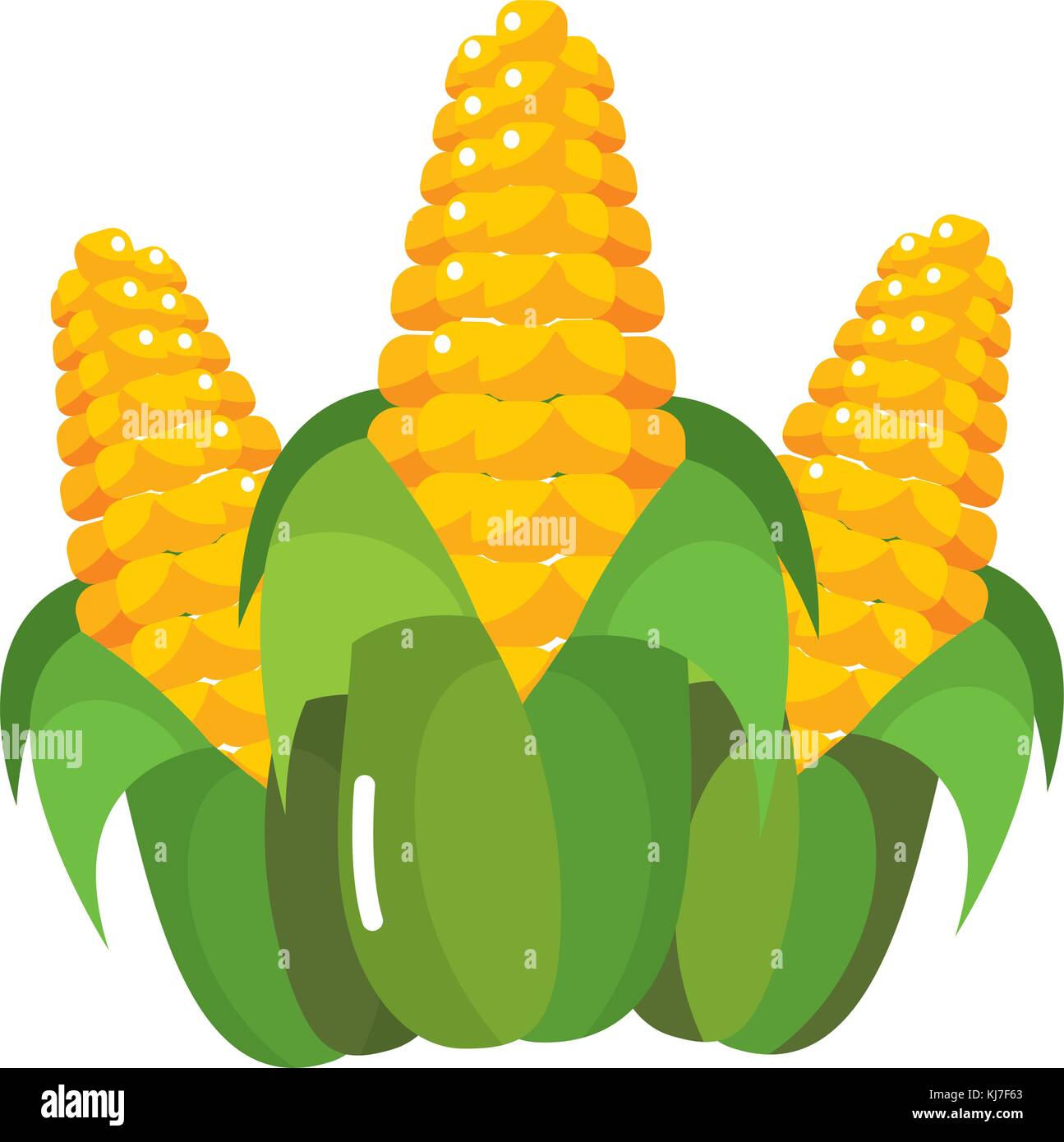 Corn of food vegetable and agriculture theme Isolated design Vector ...