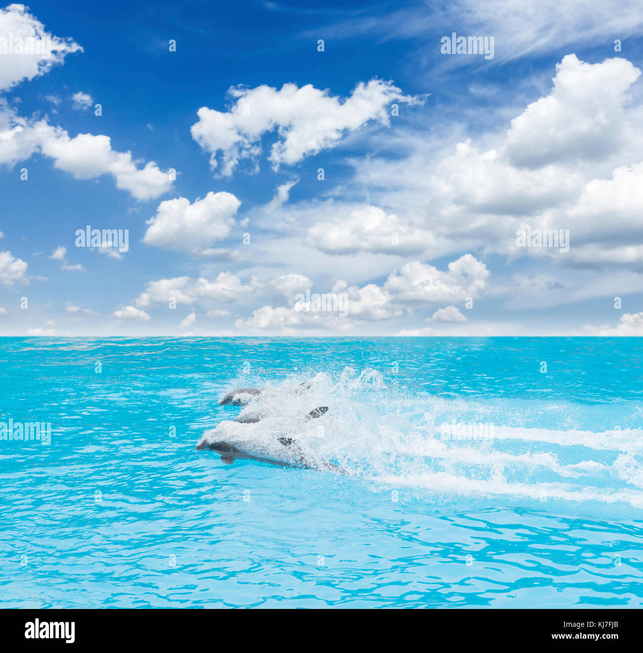 Photo Group of jumping dolphins, beautiful seascape and blue sky