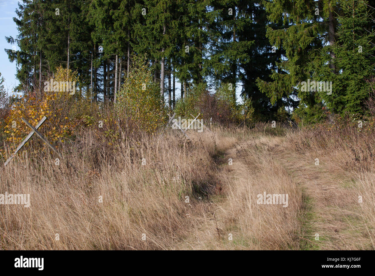 Wiesenweg im Herbst Stock Photo - Alamy
