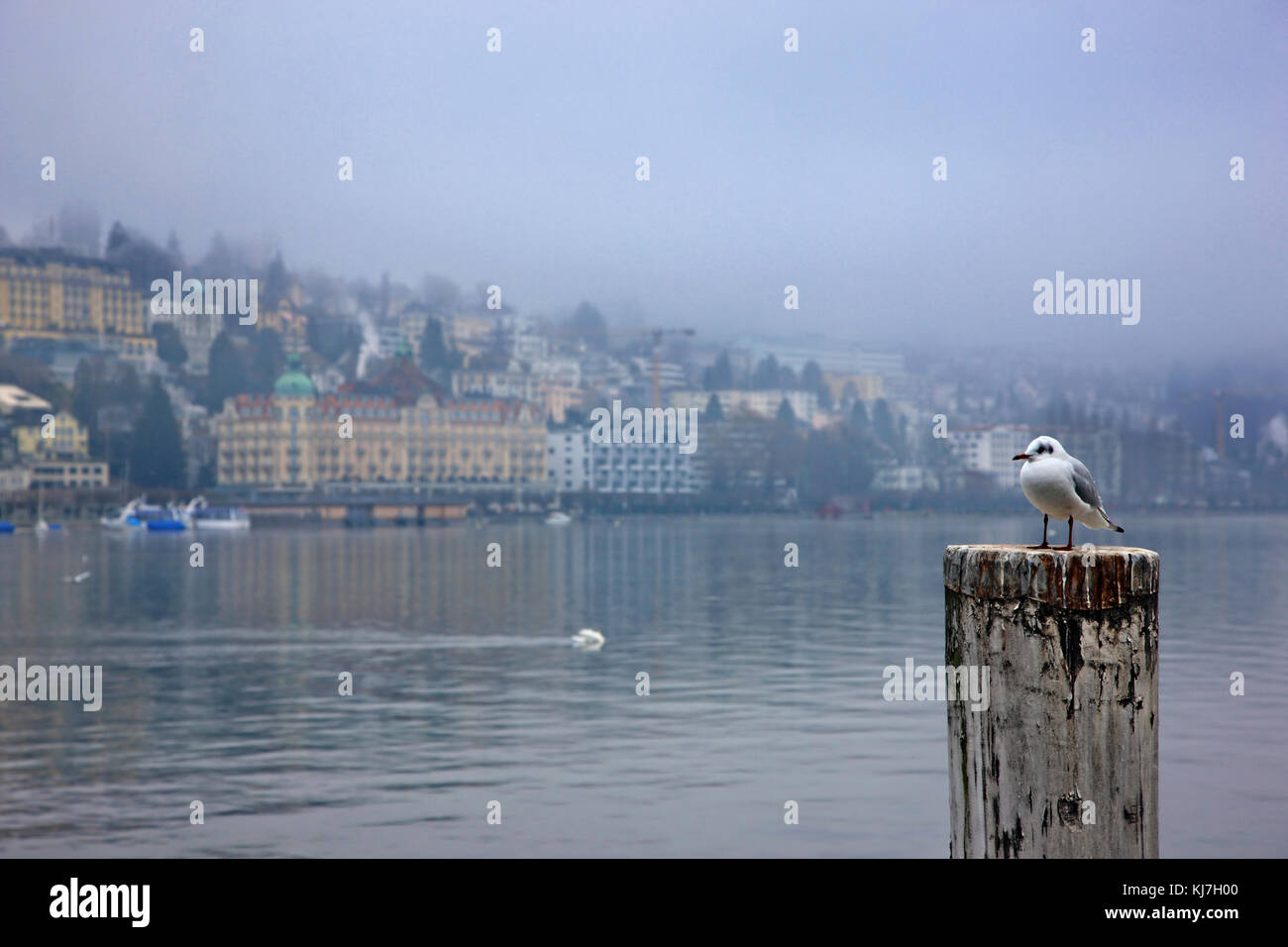 Partial view of Lucerne city and Lucerne lake, Switzerland. Stock Photo