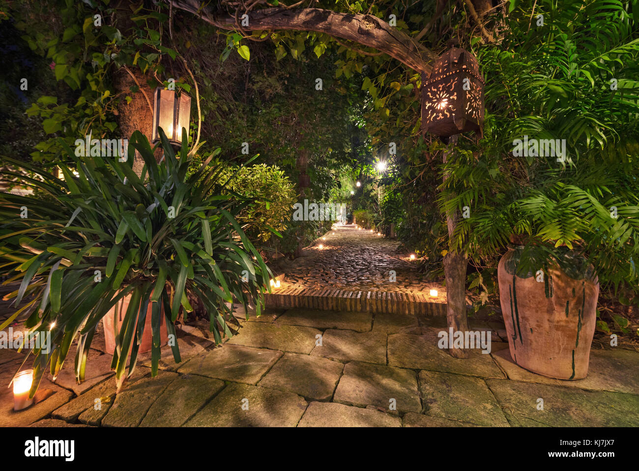 Scenic Landscape Of An Arabic Garden At Night Illuminated With