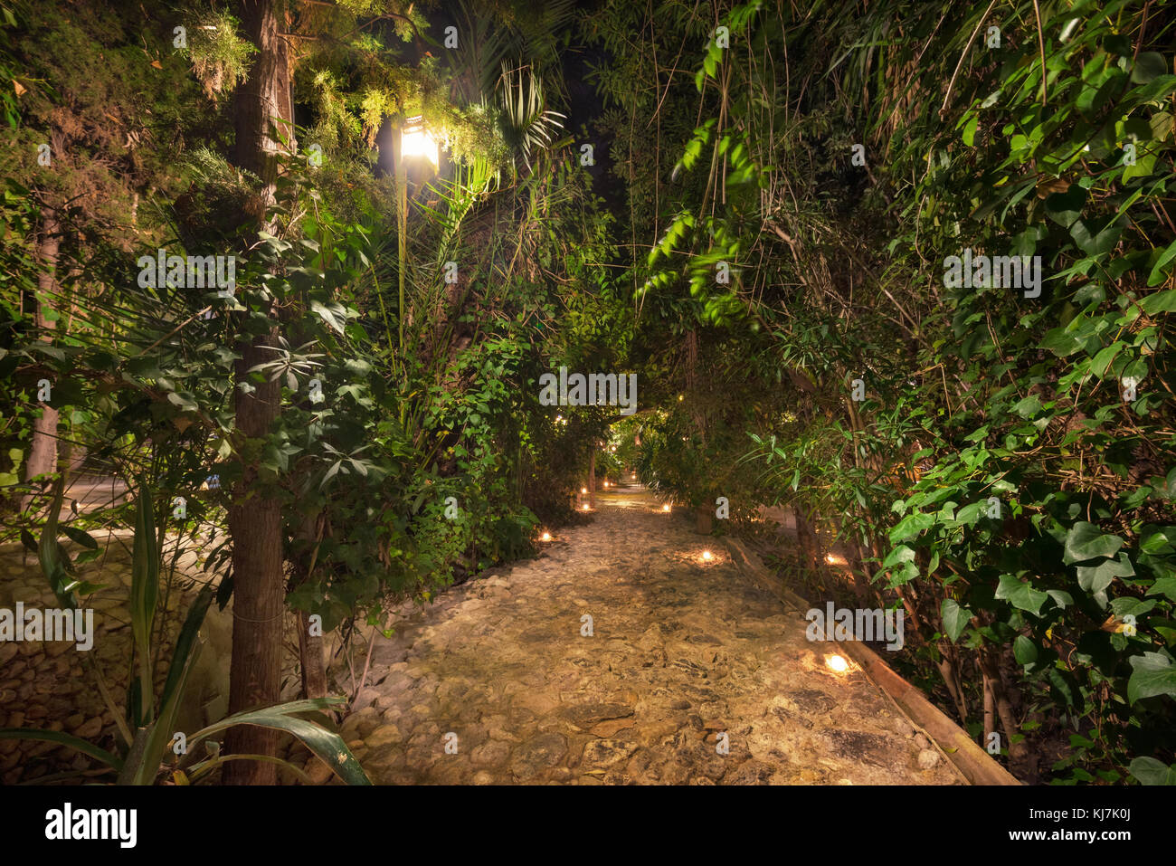 Scenic Landscape Of An Arabic Garden At Night Illuminated With