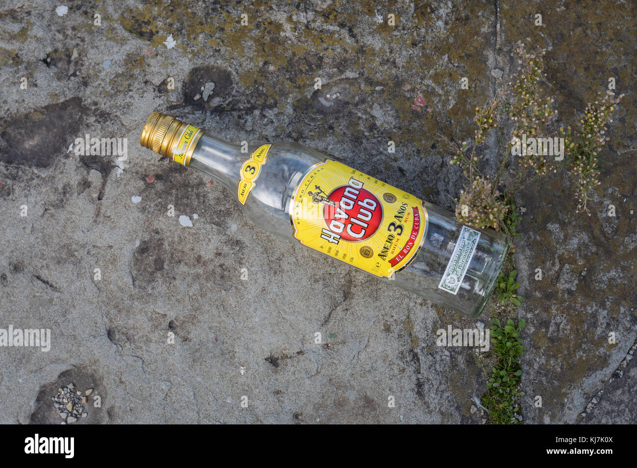 Havana club rum hires stock photography and images Alamy