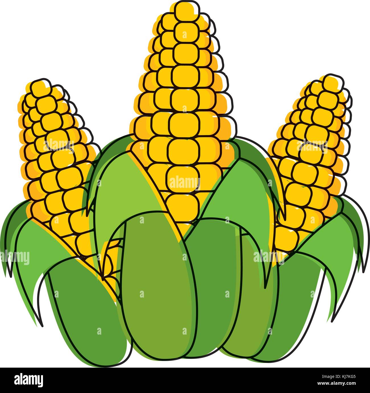 Isolated corn design Stock Vector Image & Art - Alamy