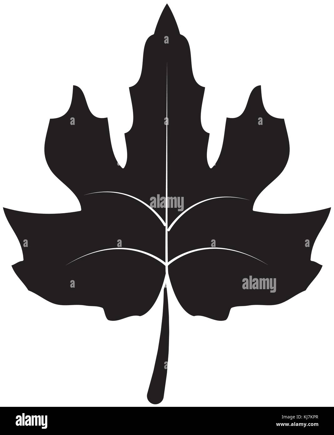 Isolated leaf design Stock Vector Image & Art - Alamy