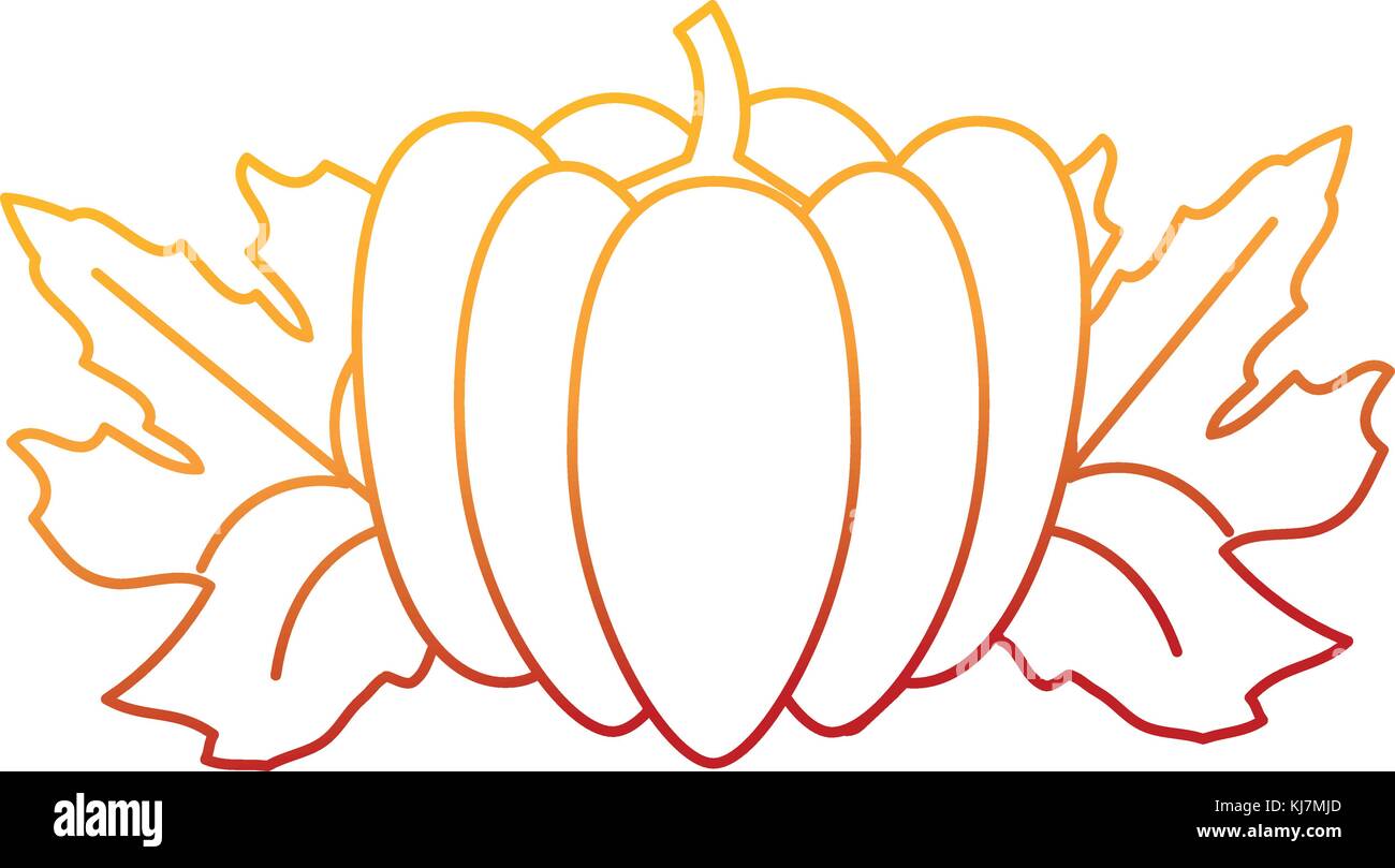 Isolated pumpkin design Stock Vector Image & Art - Alamy
