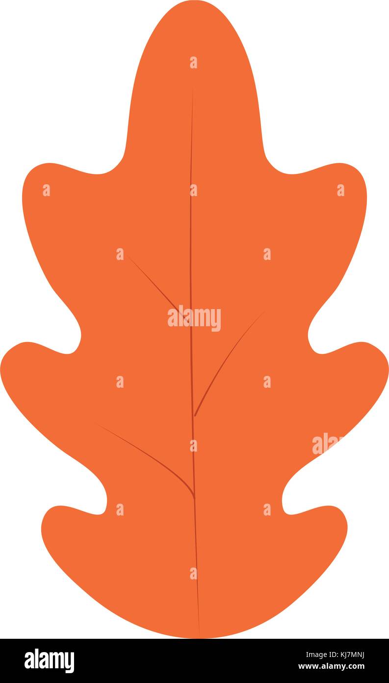Isolated leaf design Stock Vector Image & Art - Alamy