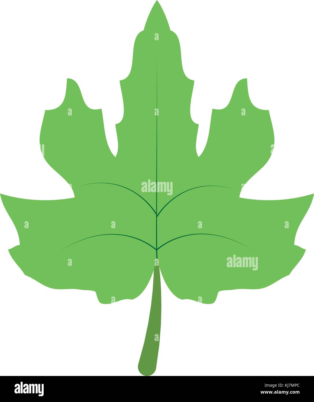 Isolated leaf design Stock Vector Image & Art - Alamy