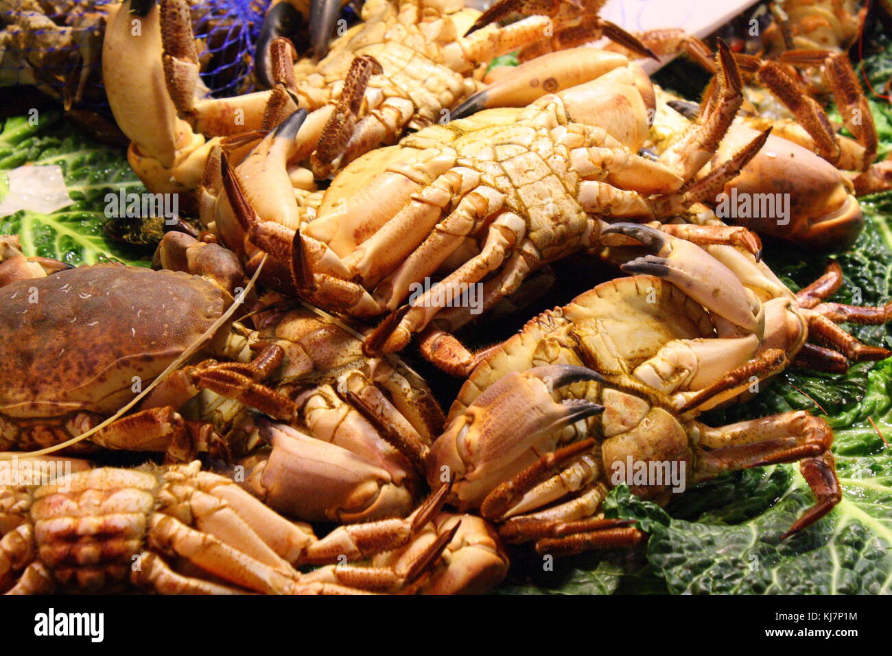Crabs sale fish market hires stock photography and images Alamy