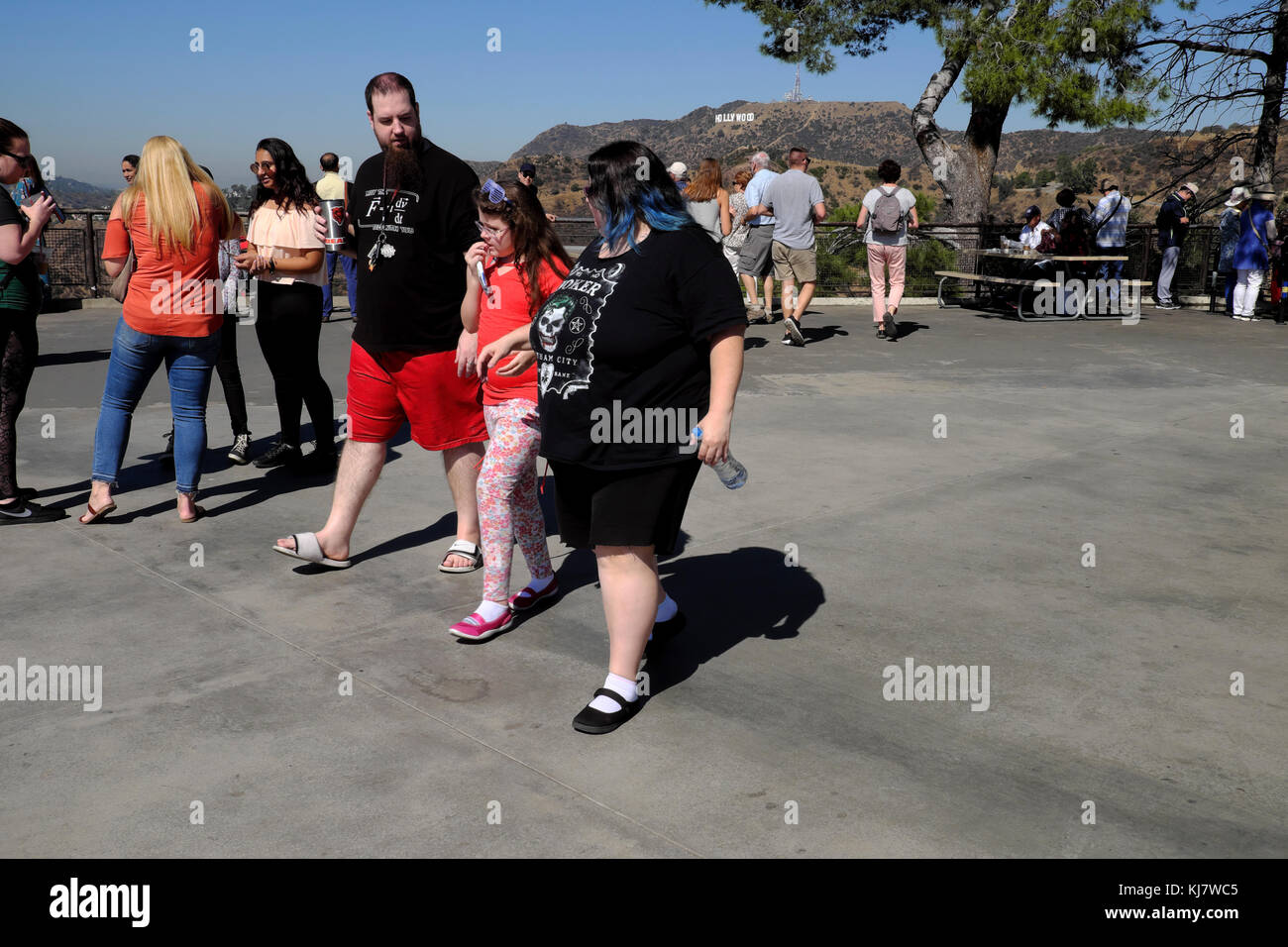 American family visiting Griffith Park Observatory and view of Hollywood sign in Los Angeles, LA California USA    KATHY DEWITT Stock Photo