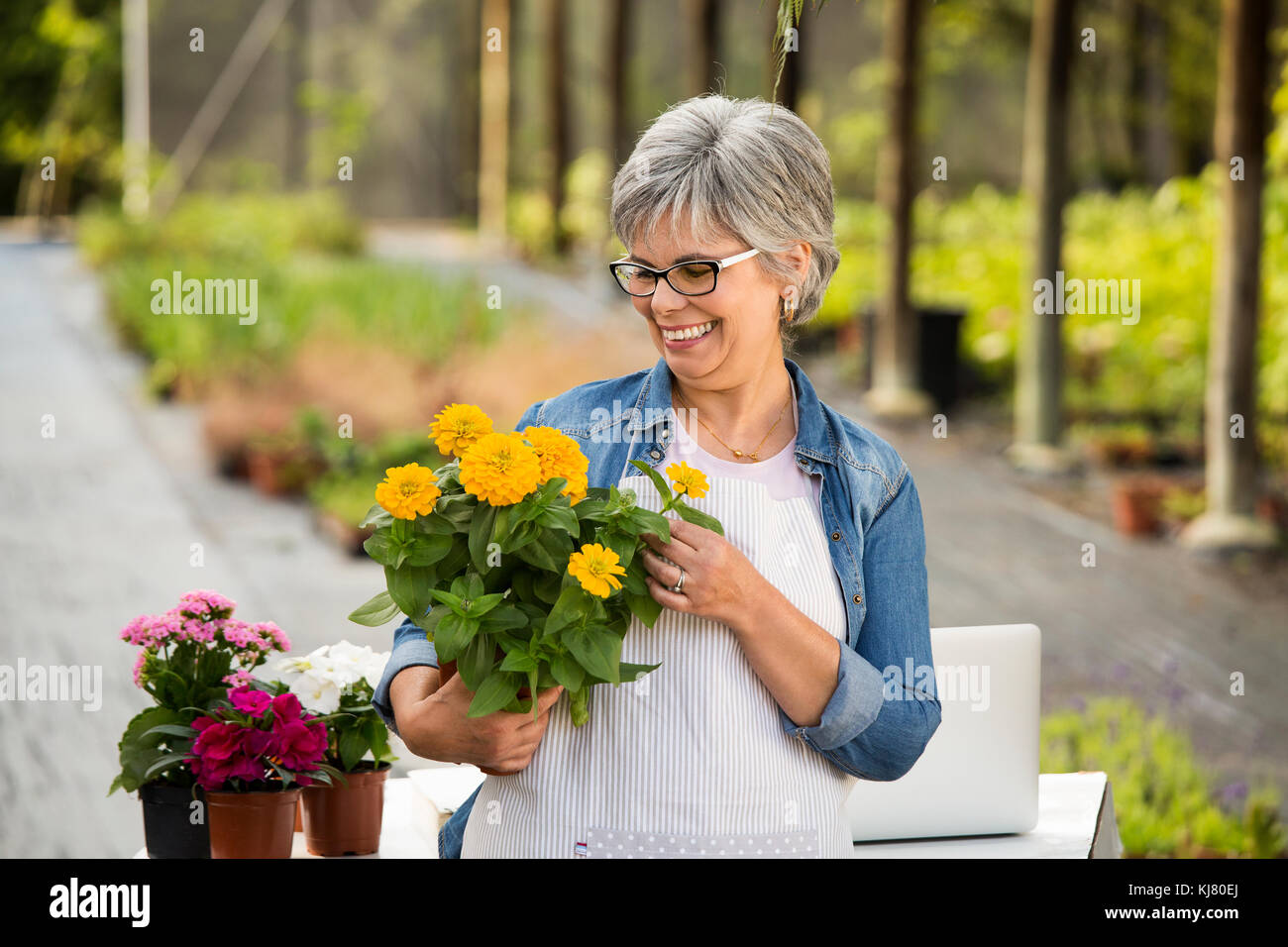Beautiful mature woman working in a greenhouse holding flowers on her ...