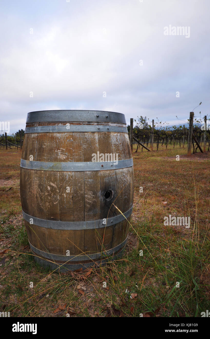 Wine barrel in vineyard Pokolbin Hunter Valley NSW Australia Stock