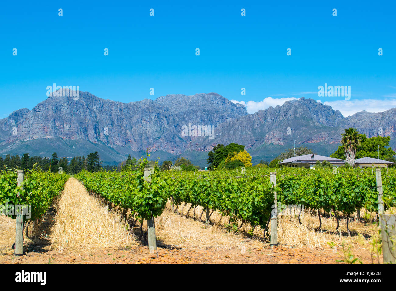 Travel through the beautiful mountains and winelands of Western Cape, South Africa Stock Photo