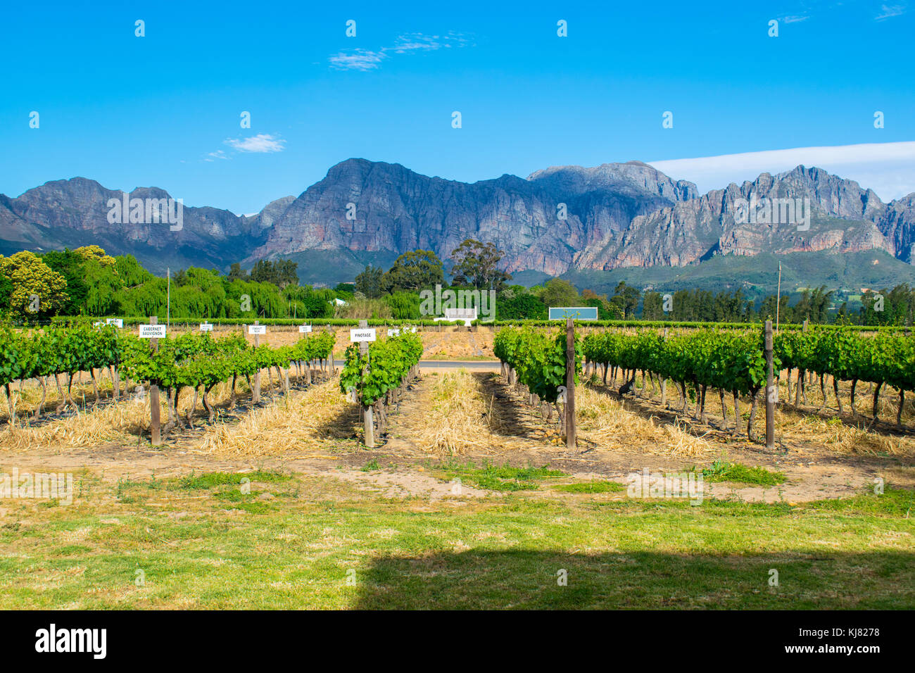 Travel through the beautiful mountains and winelands of Western Cape, South Africa Stock Photo