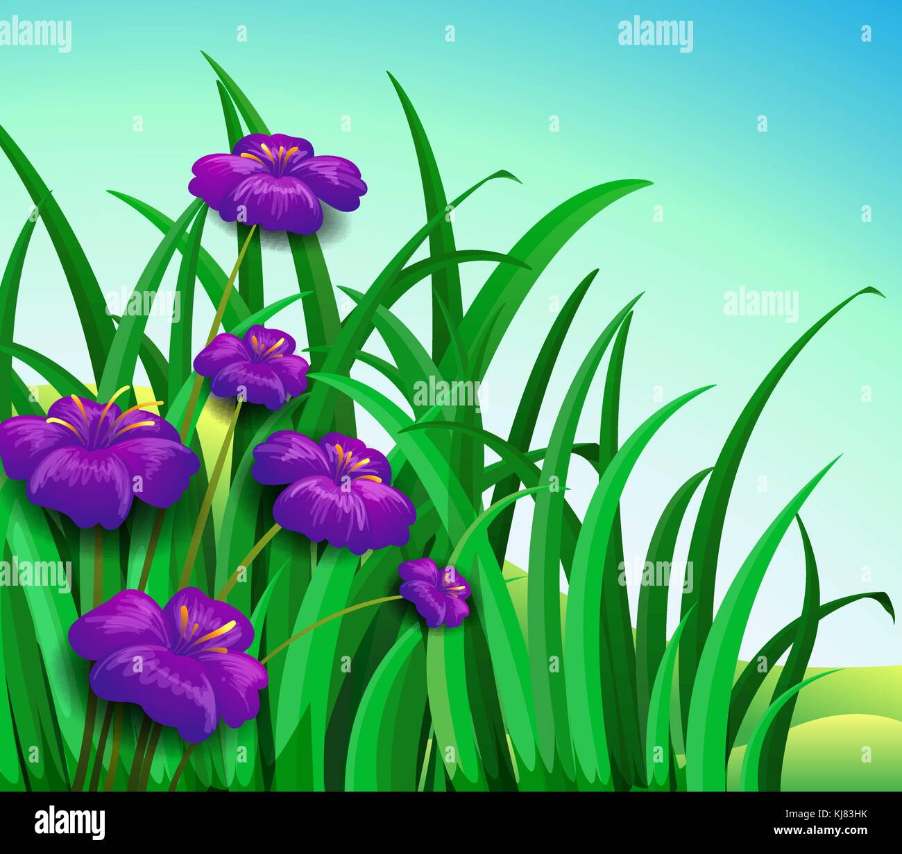 Illustration of a violet flowers in the garden Stock Vector Image & Art