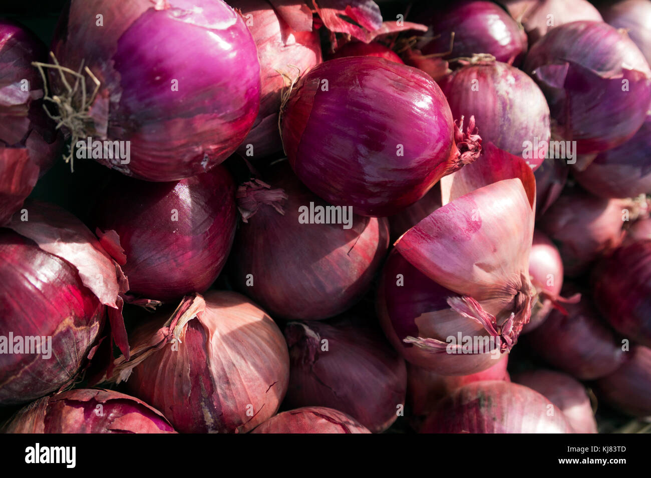 Red onions on display at a farmer's market in Weslaco, Texas Stock ...