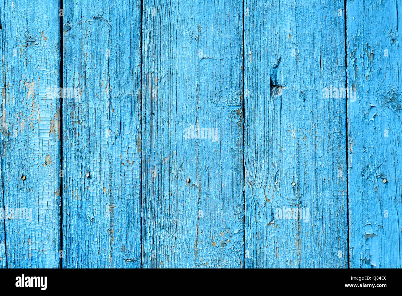 Vintage old wooden slats or boards with coats of bright blue peeling and flaking into a pattern of paint flecks Stock Photo