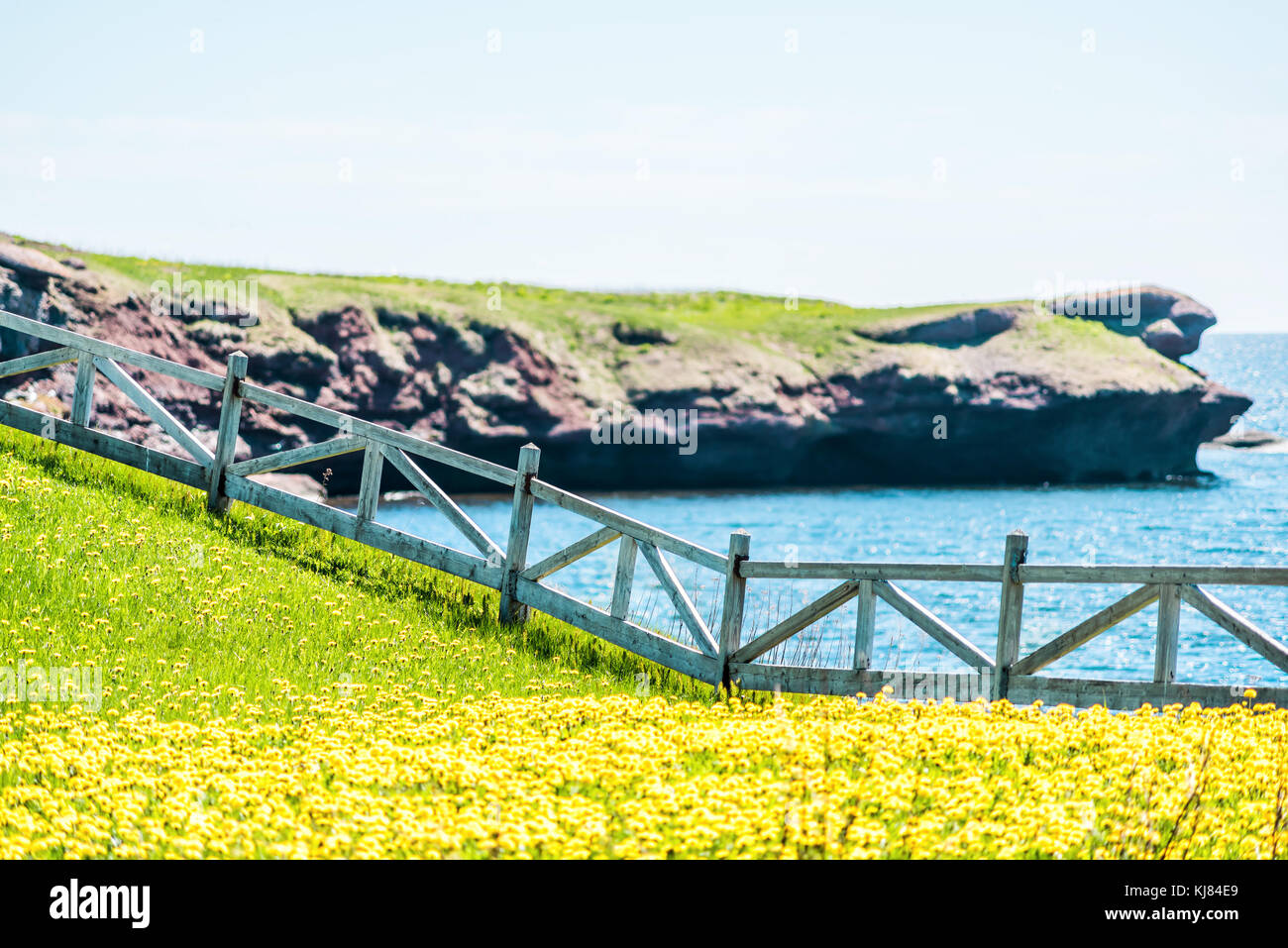 Wooden fence on edge of cliff and yellow dandelion flowers in idyllic countryside summer scenery Stock Photo