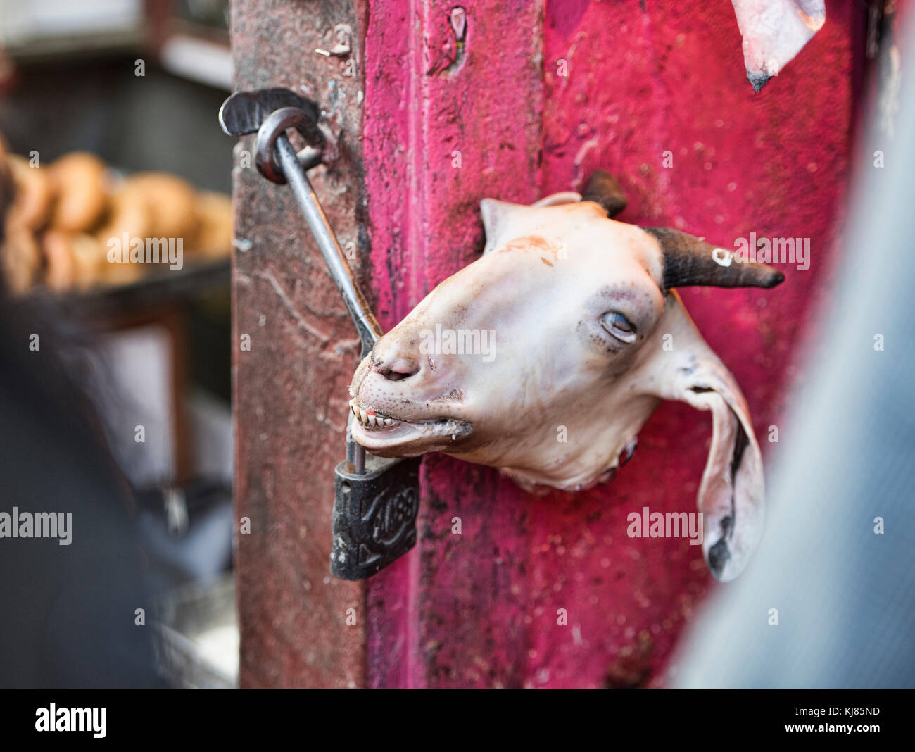 Goat head hanging during Dasain holiday, Kathmandu, Nepal Stock Photo