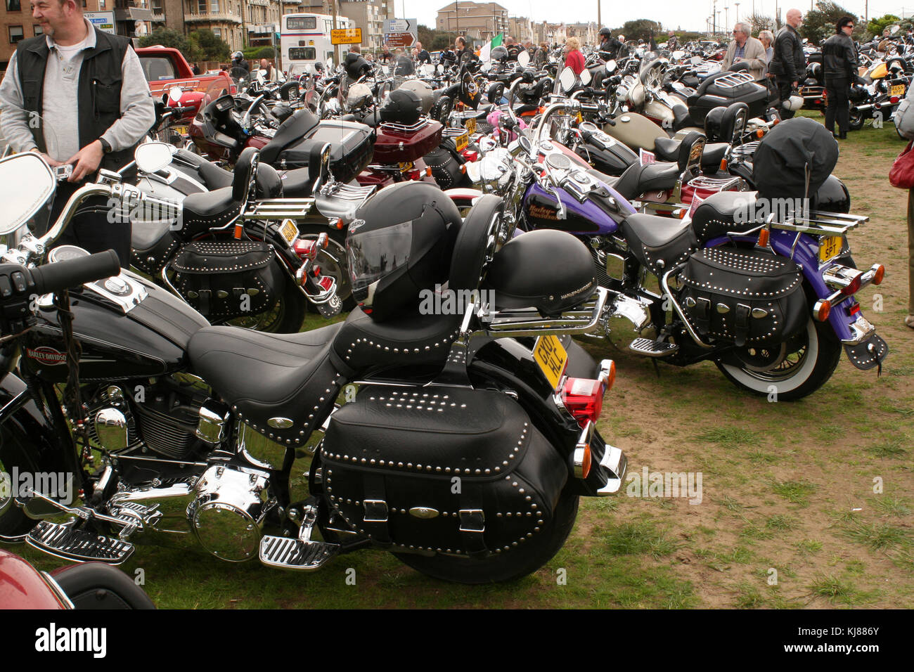 Collection of Harley Davidson motorcycles, on the sea front at Weston