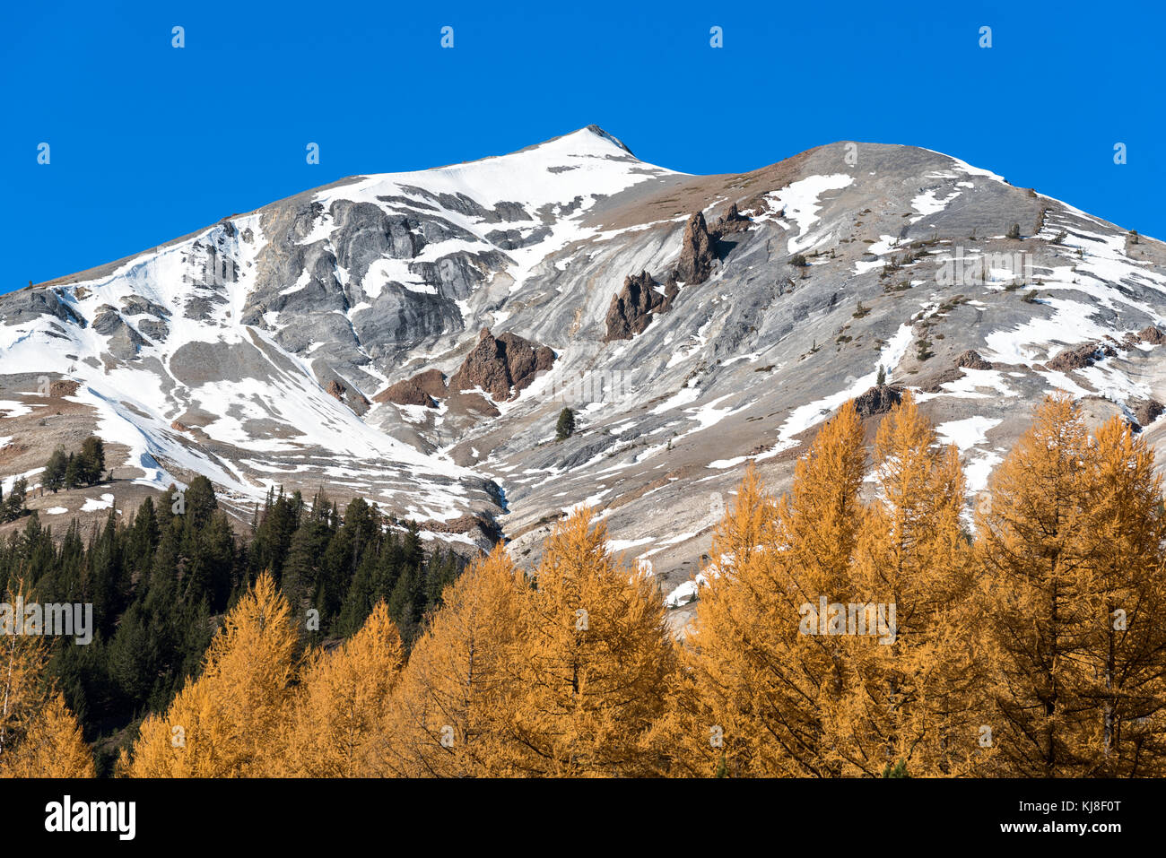 Western larch trees and Cusick Mountain in Oregon's Wallowa Mountains. Stock Photo