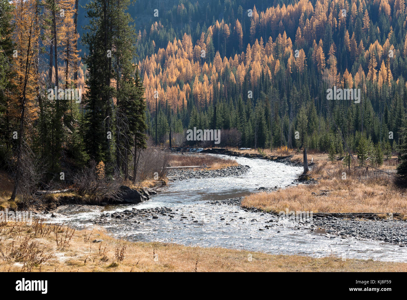 Imnaha River in autumn, Wallowa Mountains, Oregon. Stock Photo