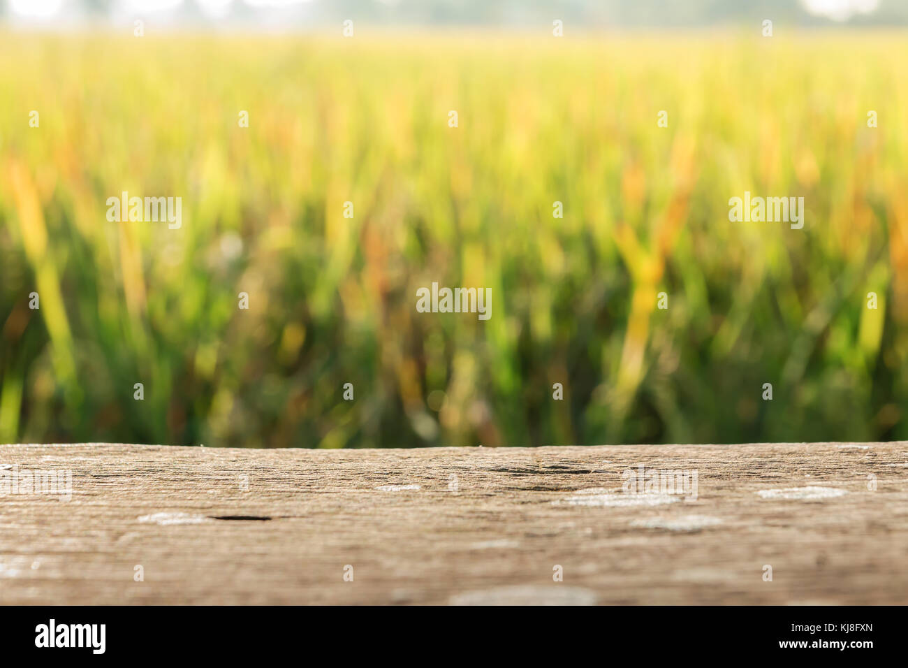 Blurred Rice A photo of Wood board with blur field rice background Stock Photo - Alamy