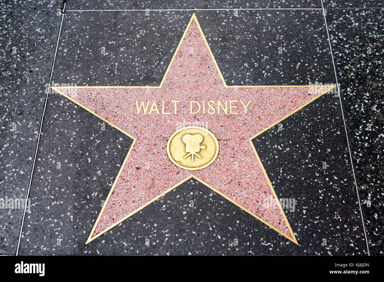 HOLLYWOOD, CA - DECEMBER 06: Walt Disney star on the Hollywood Walk of Fame in Hollywood, California on Dec. 6, 2016. Stock Photo