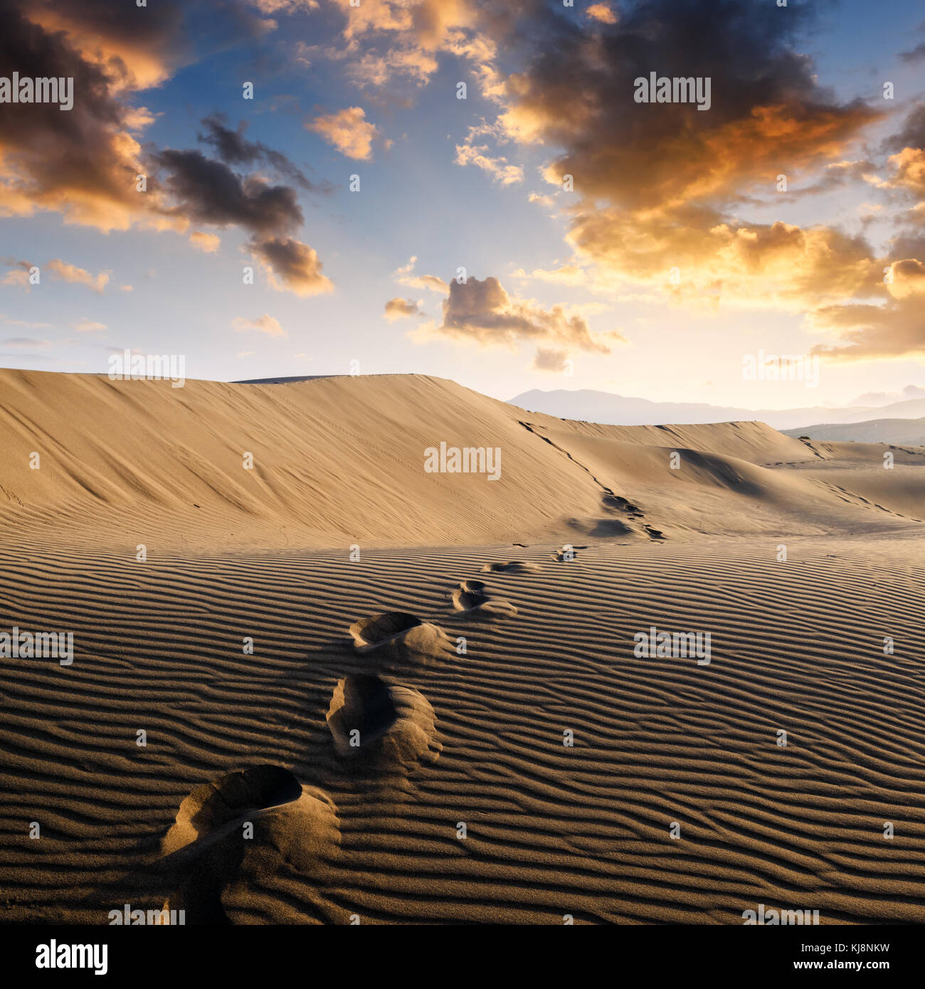 Footprints on sand in the desert Stock Photo