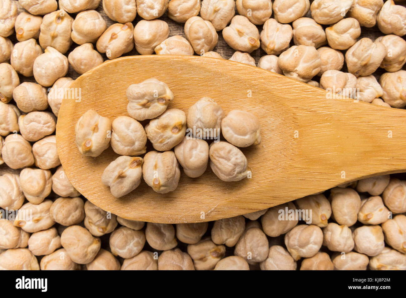 Cicer arietinum is scientific name of Chickpeas legume. Also known as Garbanzo bean, Chick Peas