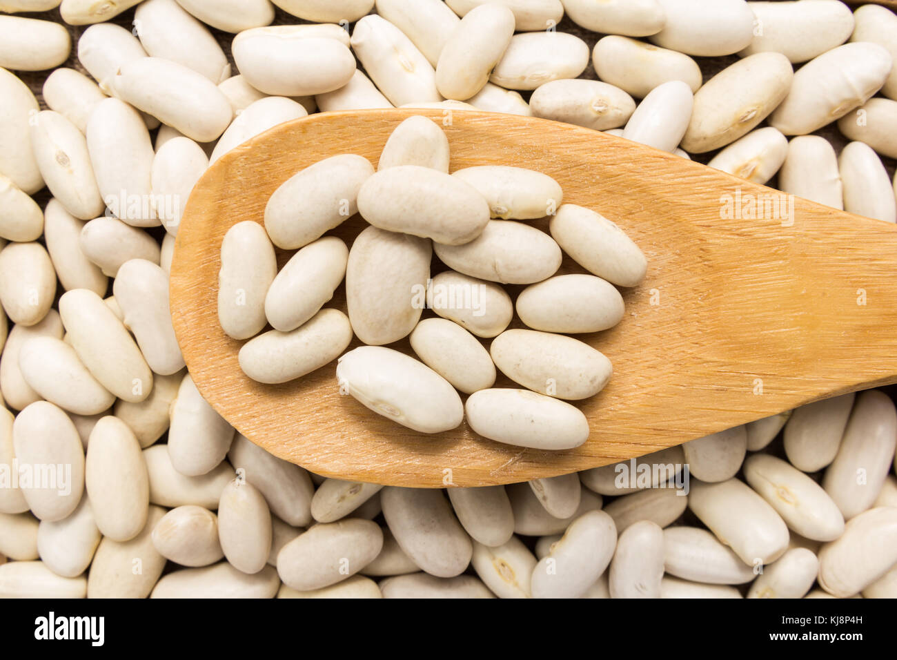 Phaseolus vulgaris is scientific name of Sugar Bean legume. Also known