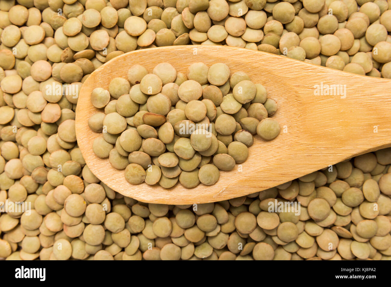 Lens culinaris is scientific name of Lentil legume. Also known as
