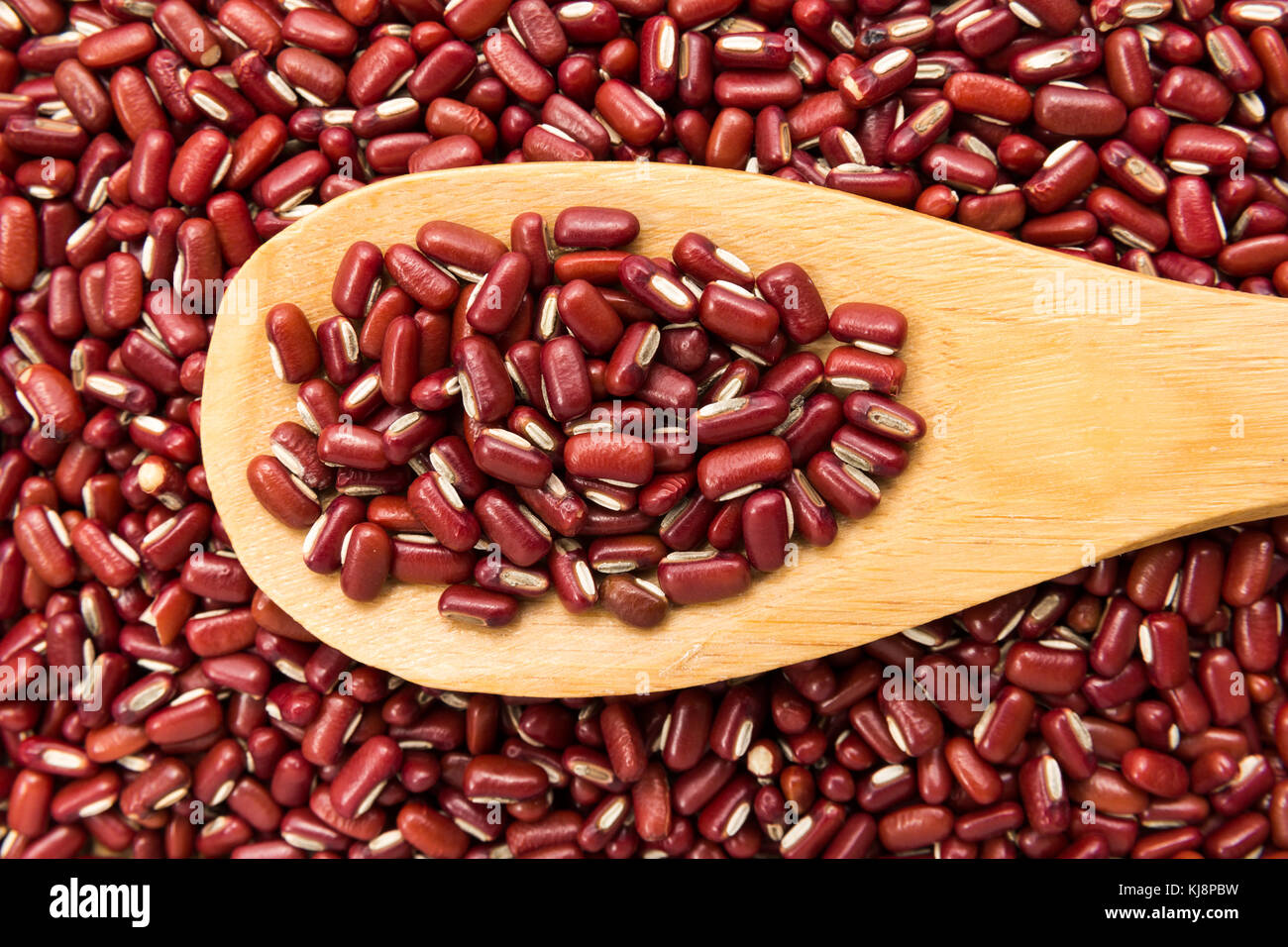 Vigna angularis is scientific name of Adzuki Bean legume. Also known as  Azuki and Japanese Bean. Grains in wooden spoon. Close up Stock Photo -  Alamy