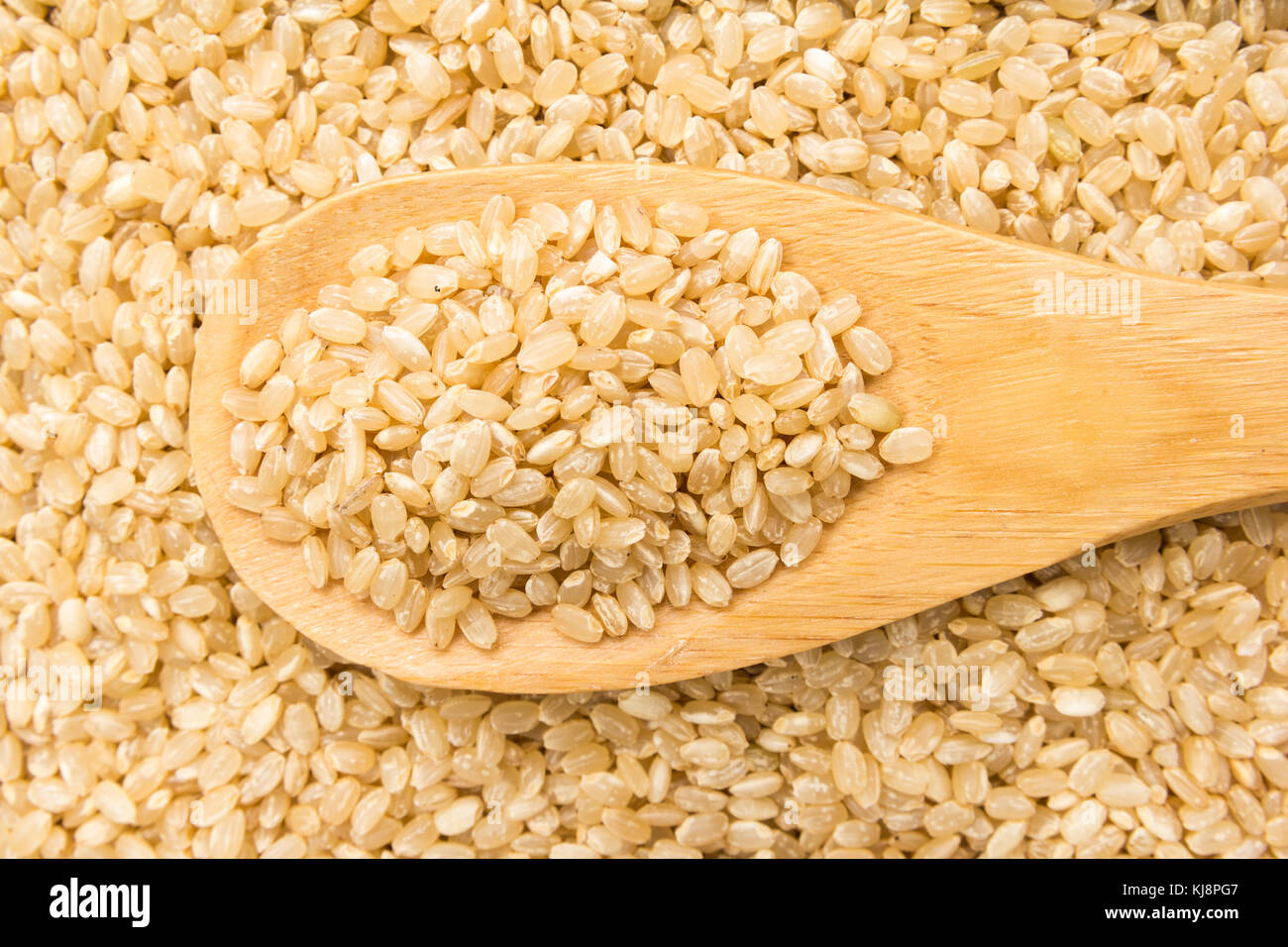 Oryza Sativa Is Scientific Name Of Whole Short Grain Rice Seed Also Known As Sushi Rice And Arroz Cateto Integral Portuguese Grains In Wooden Spoo Stock Photo Alamy